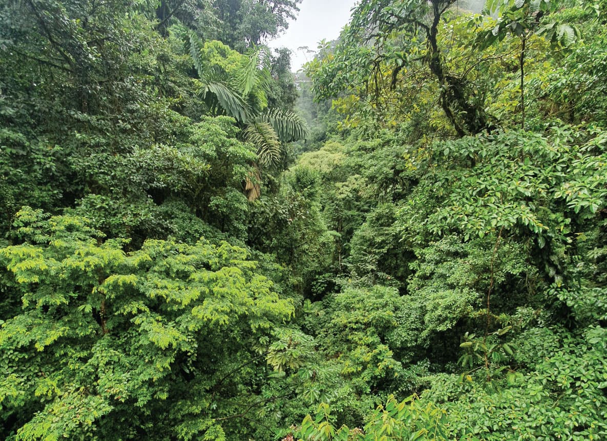 Miravalles National Park