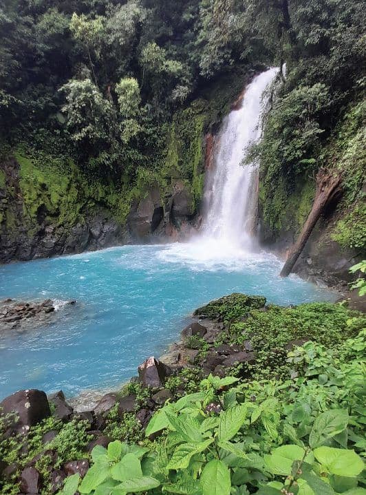 Tenorio Volcano National Park (Rio Celeste Waterfall)