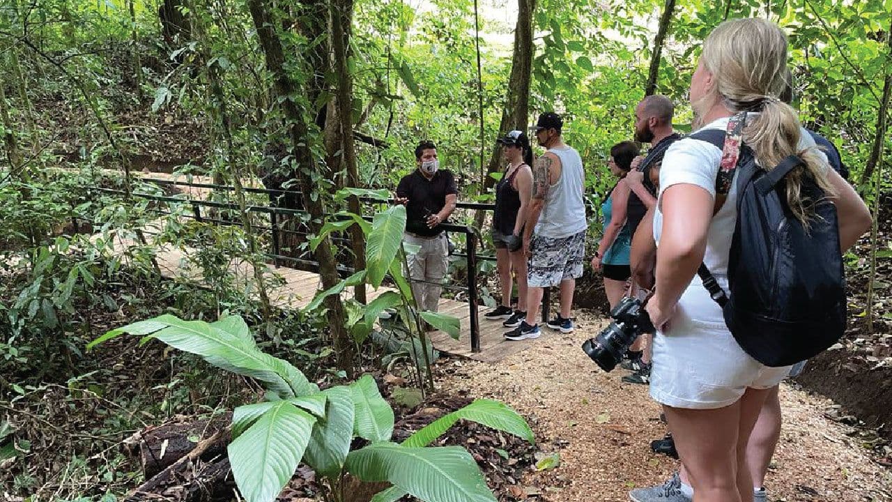Jungle Life Costa Rica – Rainforest Tours