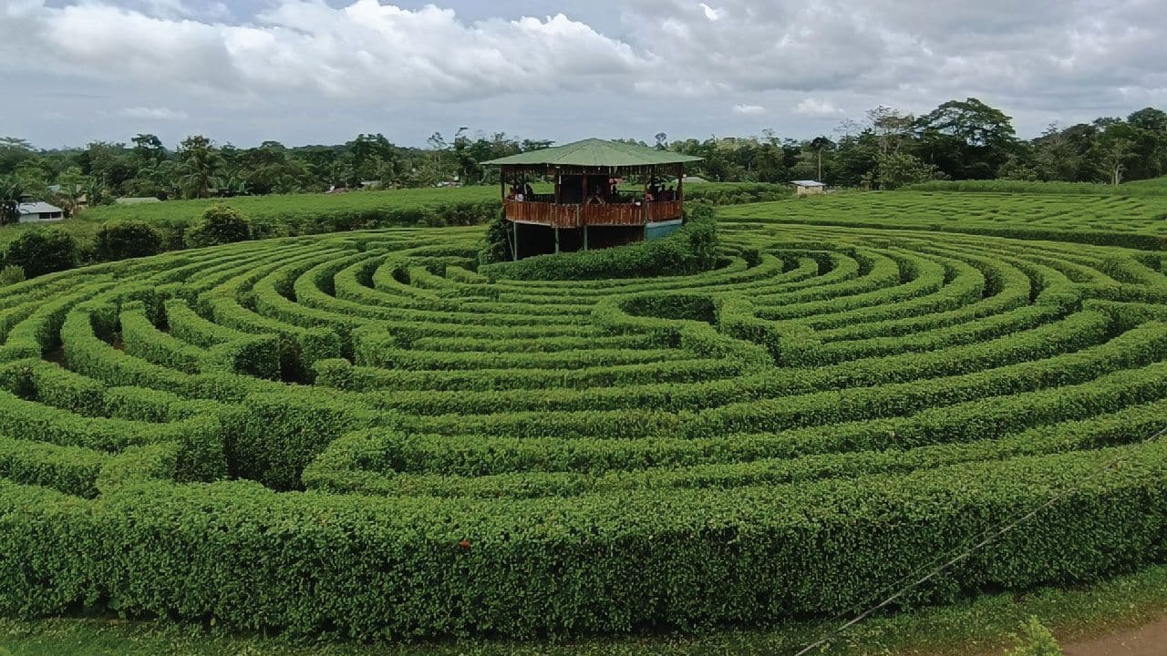 Katira’s Labyrinth