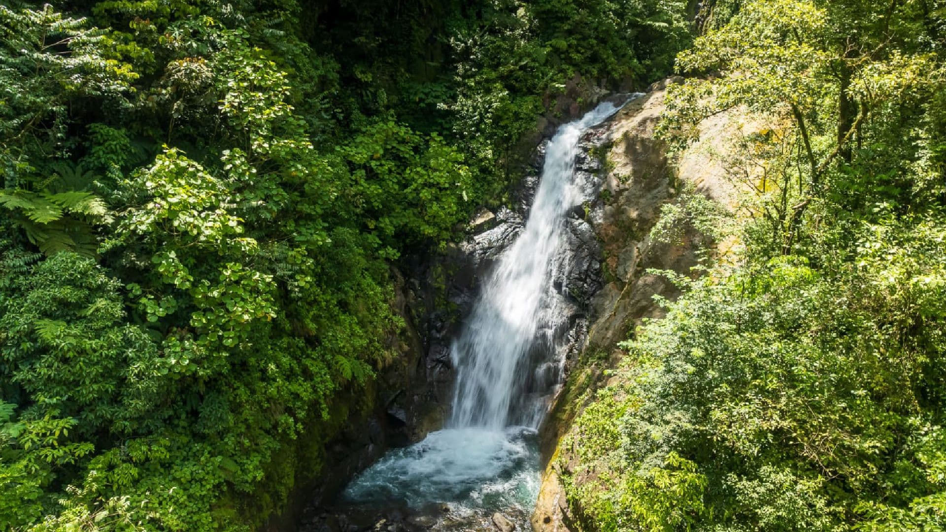 Bijagua River Falls and Tenorio Volcano Viewpoint