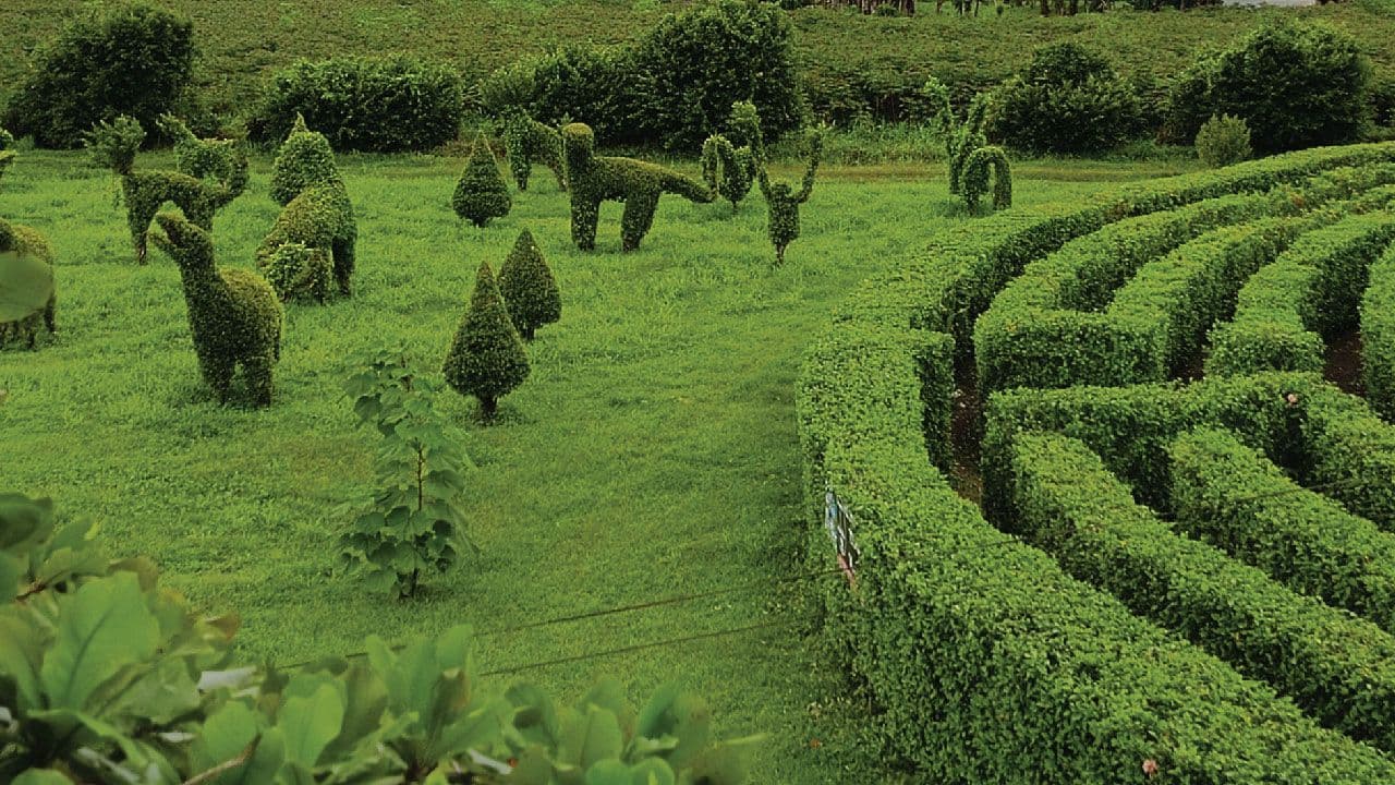Katira’s Labyrinth