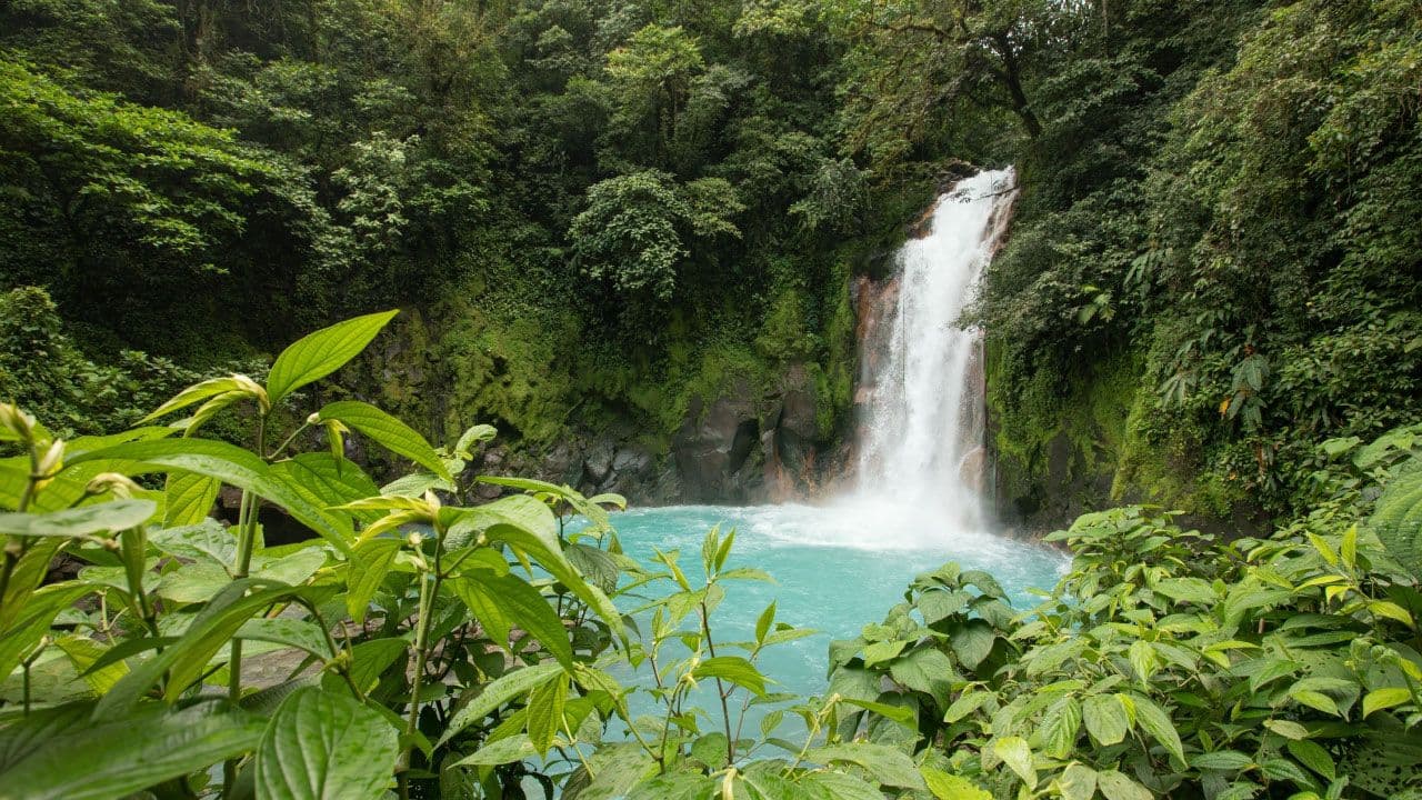 Tenorio Volcano National Park (Rio Celeste Waterfall)
